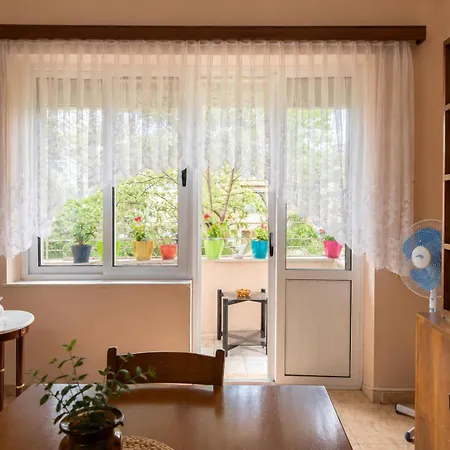 Historical Center Flat Apartman